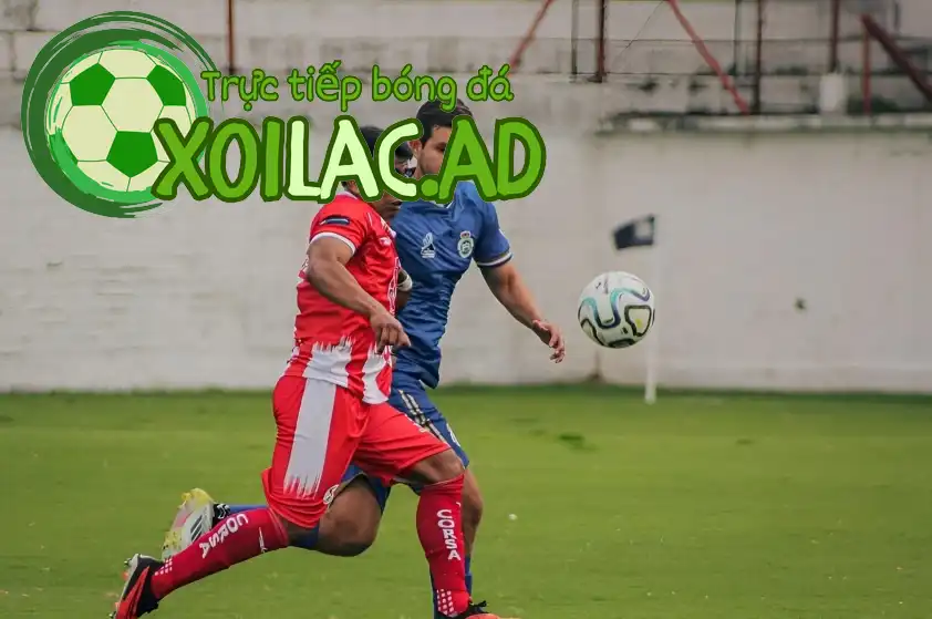 Halcones đang có phong độ tốt hơn Halcones đang có phong độ tốt hơn