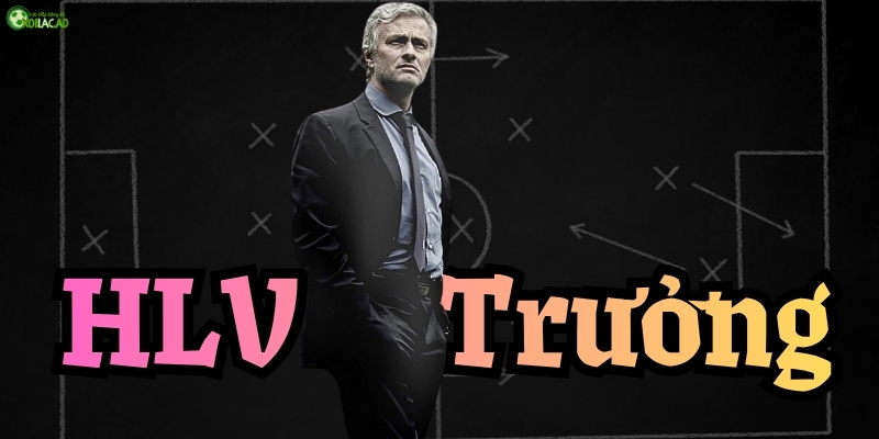 HLV trưởng và chức năng của HLV