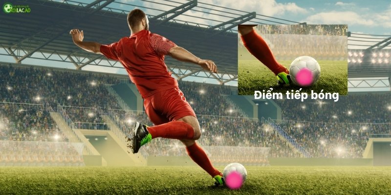 Lựa chọn điểm tiếp xúc bóng chính xác