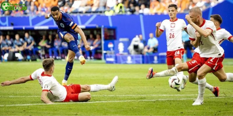 Ba Lan vs Hà Lan: Dự đoán tỷ số kịch tính Lewandowski